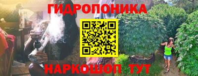 эйфоретик Заводоуковск